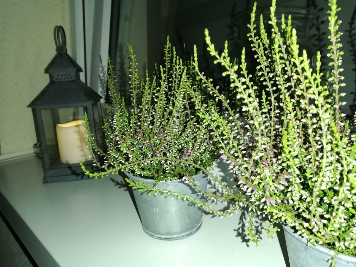 Papaver Apartament Zielona Gora  Luaran gambar